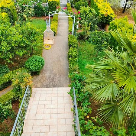 House With Wonderful View Daire Lefkandi Chalkidas Dış mekan fotoğraf
